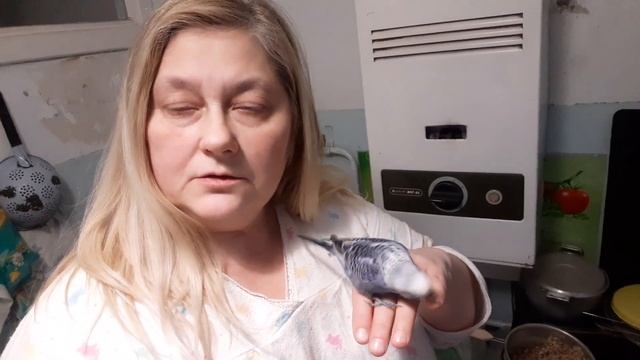 ГОТОВИМ И КОМЕНТЫ смотреть онлайн