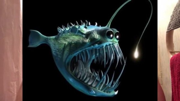 ВЫПОЛНЕНИЕ ЦЕЛЕЙ НА ГОД ч1