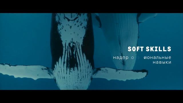 Что важнее сегодня: Hard Skills или Soft Skills?