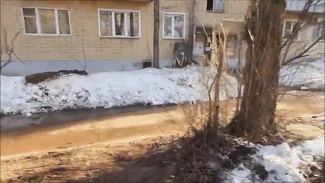 Киров. Прогулка по городу. Весна, солнышко и город становится все краше и краше смотреть онлайн