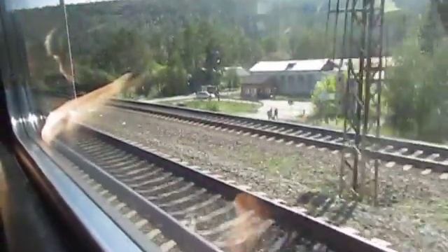 От ст. Гончарово до о.п. Голубые ели (ЭД9М 0214) смотреть онлайн