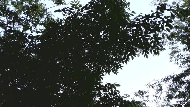 На дворе три часа утра смотреть онлайн