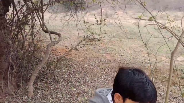 Anaconda Snake Attack In Real Life 4 HD | #snakes #python #anacondasnake #bigsnake #bigsnake смотреть онлайн