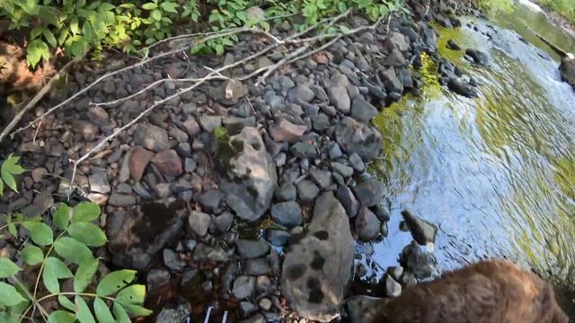 CNoR/CN-Kinghorn (Dorion) Subdivision MP 107-112 VI (Pearl River Bridge) смотреть онлайн