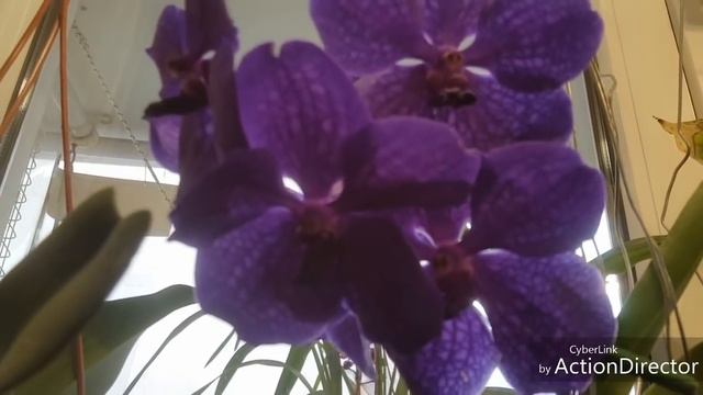 Огромное спасибо за поздравления!?И небольшой разговор? смотреть онлайн