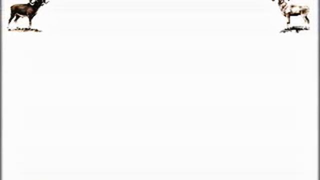 Создание офиса управления проектами смотреть онлайн