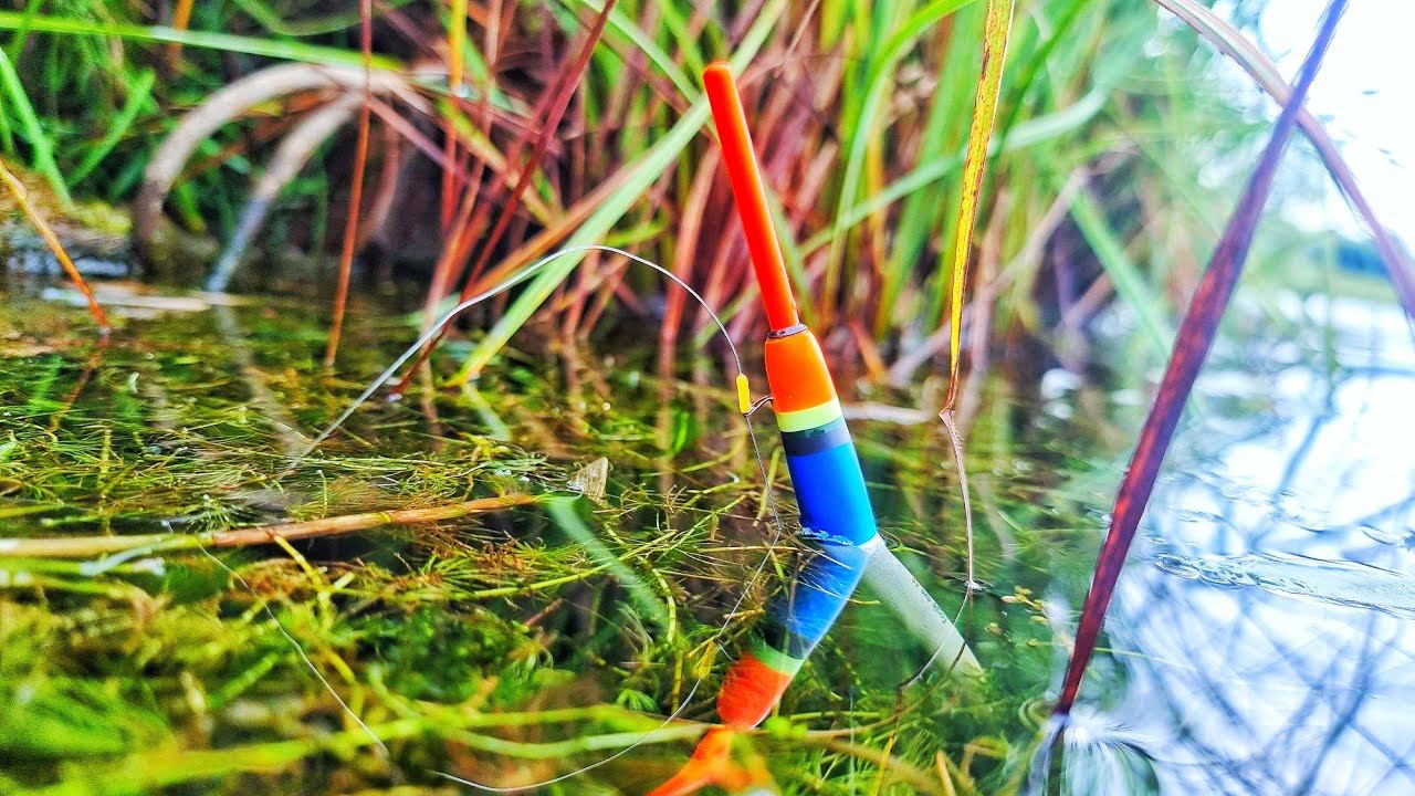 ЗАБРАЛСЯ В САМЫЕ ДЕБРИ И ПОПАЛ! РЫБАЛКА С НОЧЁВКОЙ С СЫНОМ НА ДЕРЕВЕНСКОМ ОЗЕРЕ! смотреть онлайн