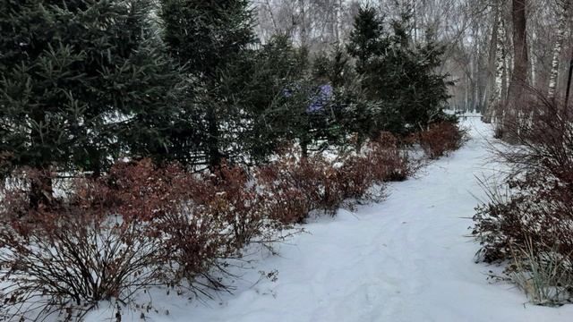 Как проявляются Духи природы. смотреть онлайн