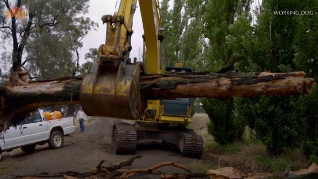 BEST Of Russell Coight's All Aussie Adventures | Season 3