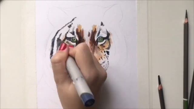 Рисуем тигра маркерами! смотреть онлайн