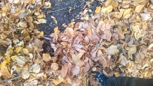 Нашёл колесо от трактора смотреть онлайн