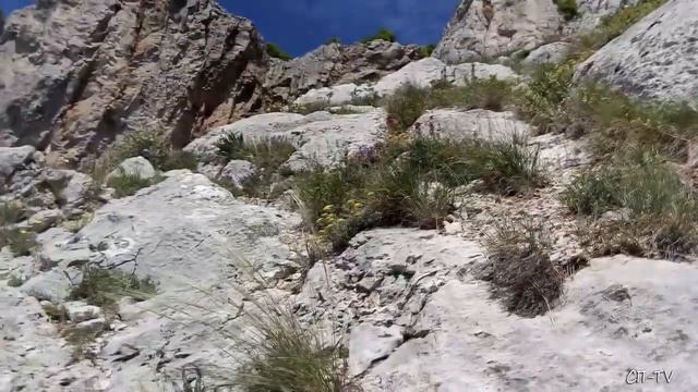 Тропа ,,Скобы" смотреть онлайн