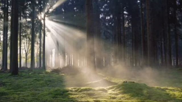 Аффирмации любовь к себе и окружающим