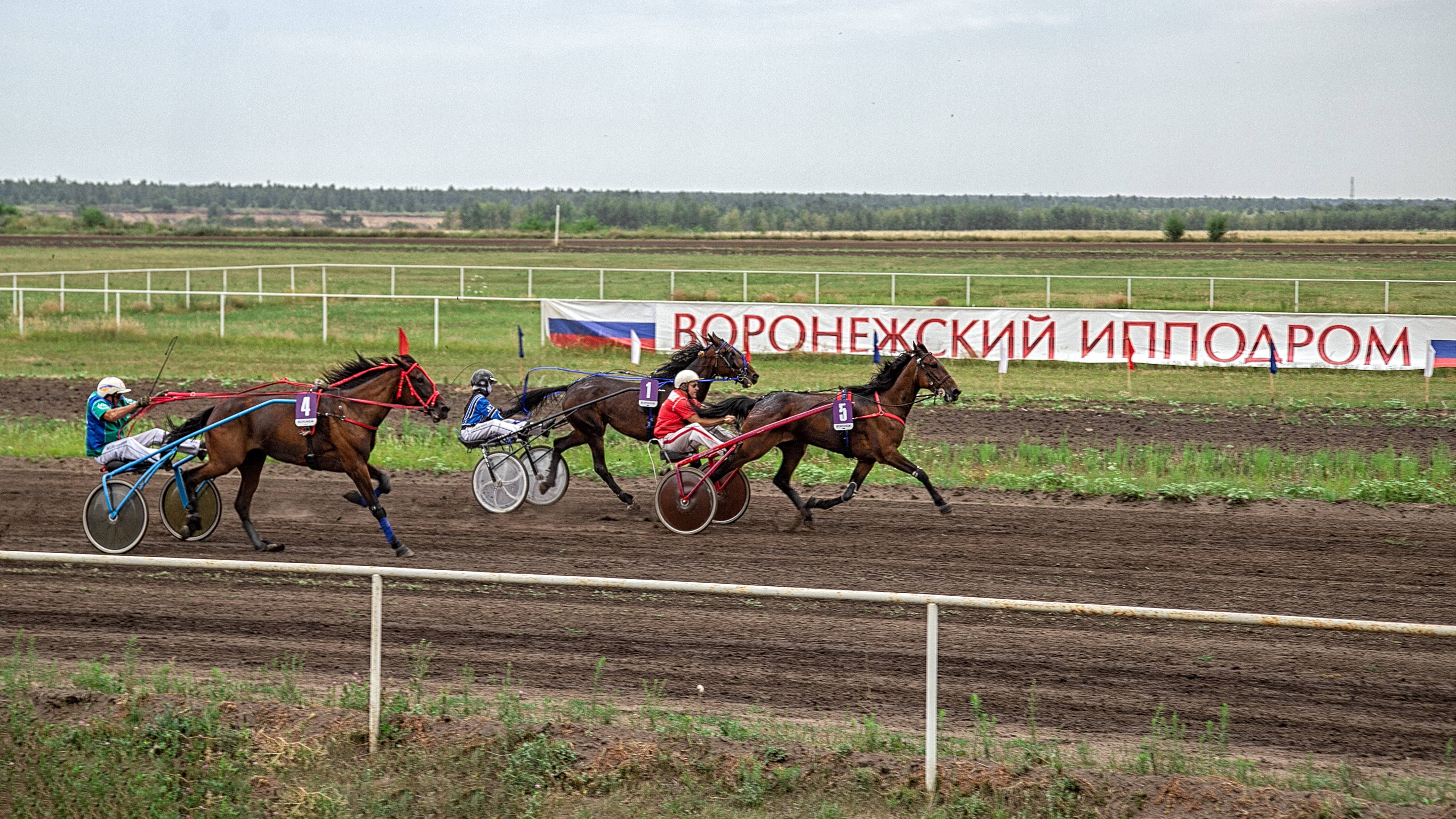 Воронежский ипподром. Конные заезды и концертно-развлекательная программа каждый беговой день смотреть онлайн