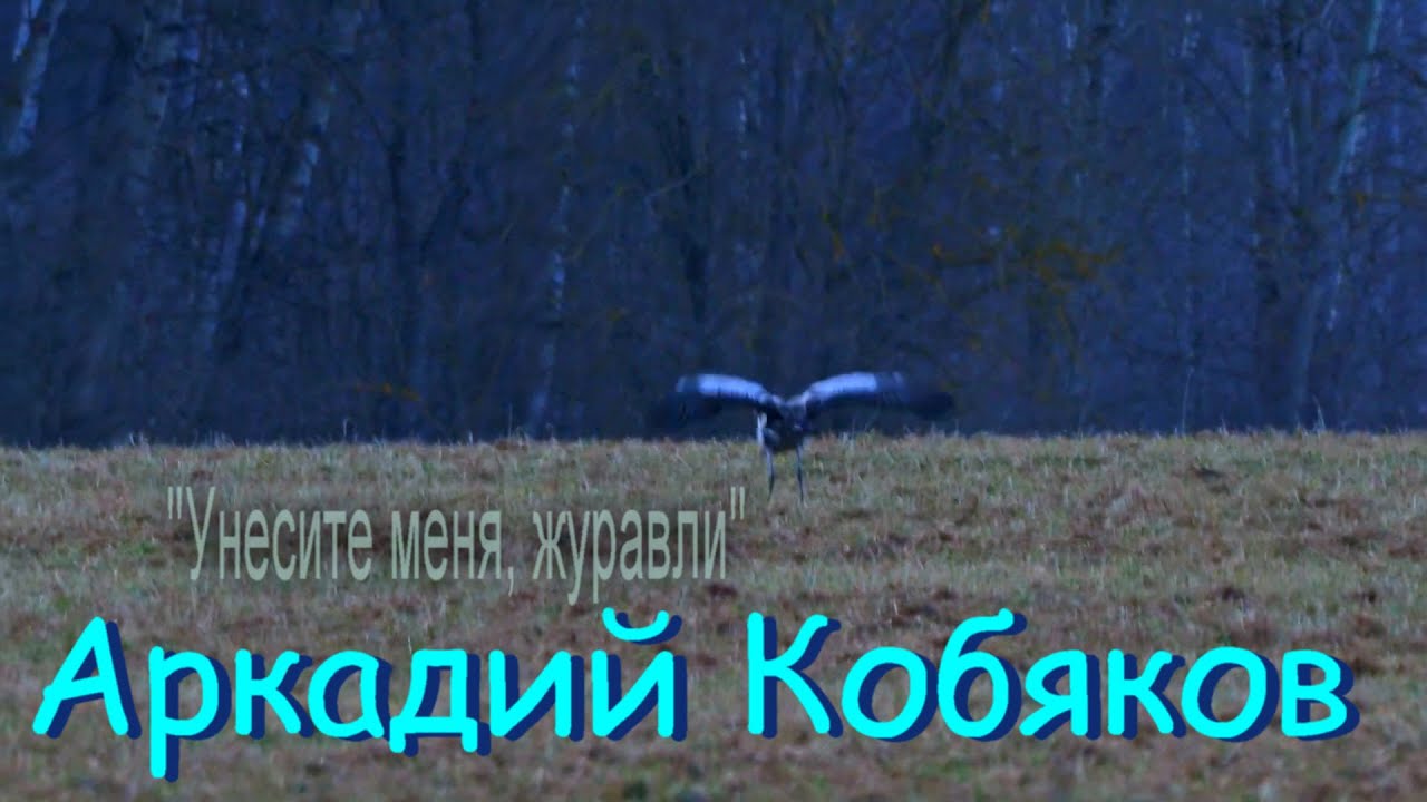 Аркадий Кобяков – Унесите меня, журавли.mp4 смотреть онлайн