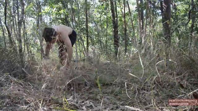 Primitive Technology- Grass Hut