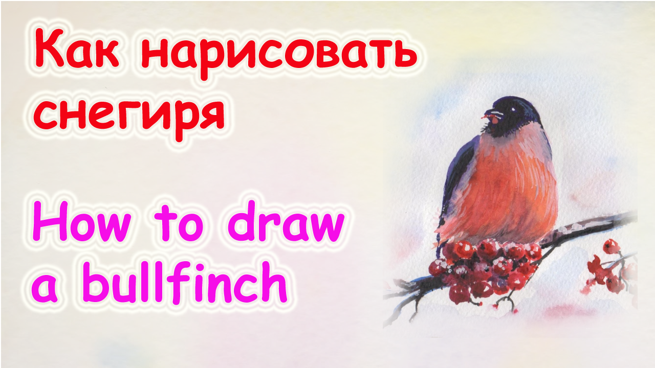 Как нарисовать снегиря акварелью смотреть онлайн