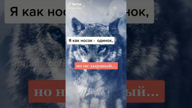 Нарезки цитат волка ауф смотреть онлайн
