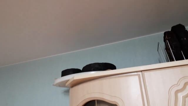 ЯБЛОЧНЫЙ СЫР смотреть онлайн