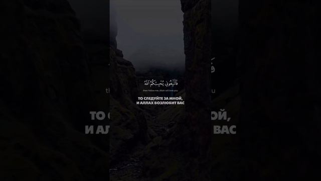 «Ты скажи (о Мухаммад!): если вы любите Аллаха, то следуйте за мной, и Аллах возлюбит вас» смотреть онлайн