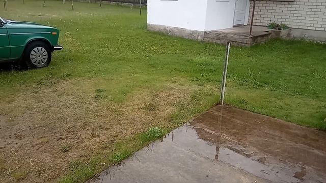 * Полынь- трава * смотреть онлайн