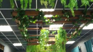 #Кафе#Стамбул Татарстан#Альметьевск