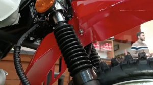 Альфа Forester RS11 Надо глянуть  2024