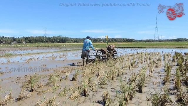 Farmer Tractor Cultivating Rice Field смотреть онлайн