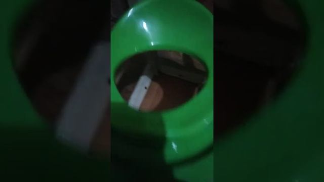 Малыш агурец какает на горшке аххахахахахахах смотреть онлайн