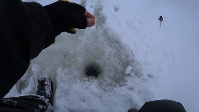 Руза. Щербинки. 5 февраля 2022 Рыбалка на чёртик. смотреть онлайн