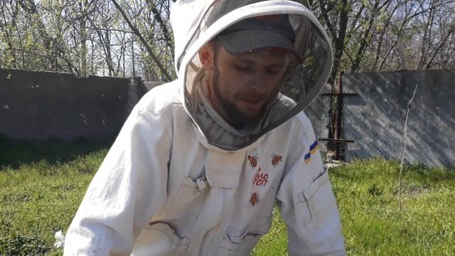 Карпатка & Карника. 08.04.2020.Моё мнение. Ну и конечно лучшая вощина. )) смотреть онлайн