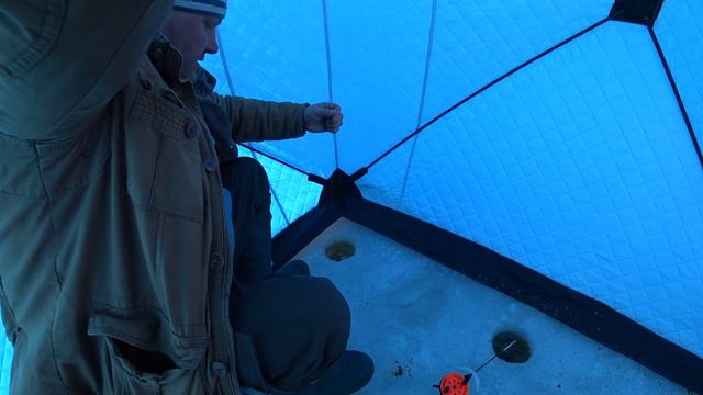 РВУТ ЛЕСКУ и НЕ ЛЕЗУТ в ЛУНКУ / РЫБАЛКА ХОТОМЛЯ смотреть онлайн