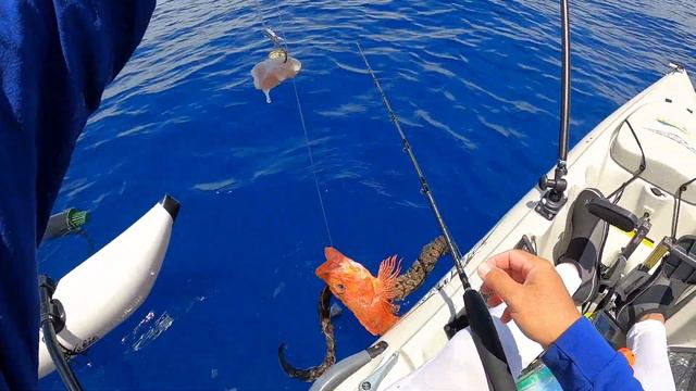 Hawaii Kayak Fishing: Double Yellowfin Tuna and Deep Drop Success! | Gindai + Opakapaka + Hogo смотреть онлайн