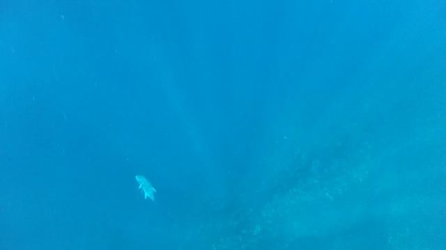 Java Bali Gili, Подводная охота смотреть онлайн