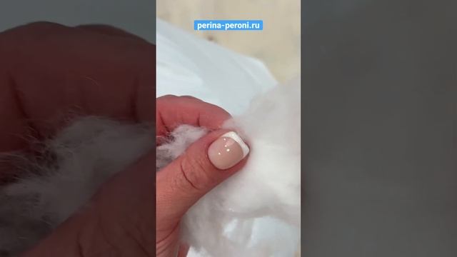 Обзор подушки «Лебяжий пух». Кстати, подушек из натурального лебяжьего пуха НЕ БЫВАЕТ!