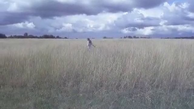 Тихо шифером шурша, едет крыша не спеша...