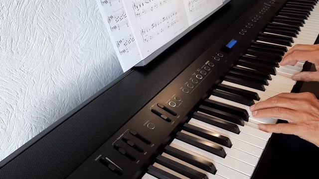 Passing Days Daniel Hellbach auf Roland FP-90X смотреть онлайн