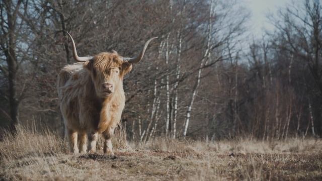 Измена двух супругов в одном месте! смотреть онлайн