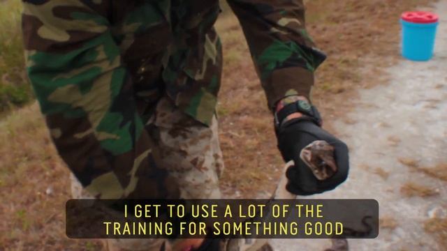 Python Hunting | Swamp Apes // 60 Second Docs смотреть онлайн