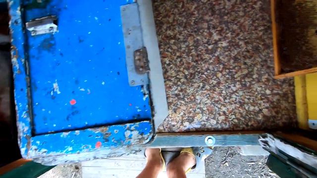 МЁД ЕСТЬ, В УЛЕЙ ЛЕЗТЬ! ПЕРВАЯ КАЧКА ЛИПОВОГО МЁДА! смотреть онлайн