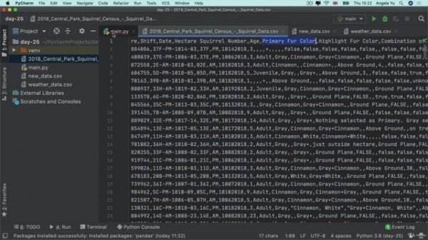 Day 25 - Working with CSV Data and the Panda4 The Great Squirrel Census Data Analysis (with Pandas!)