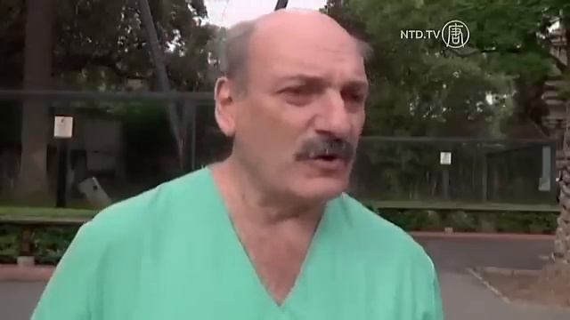 Rare White Bengal Tiger Cubs in Buenos Aires смотреть онлайн