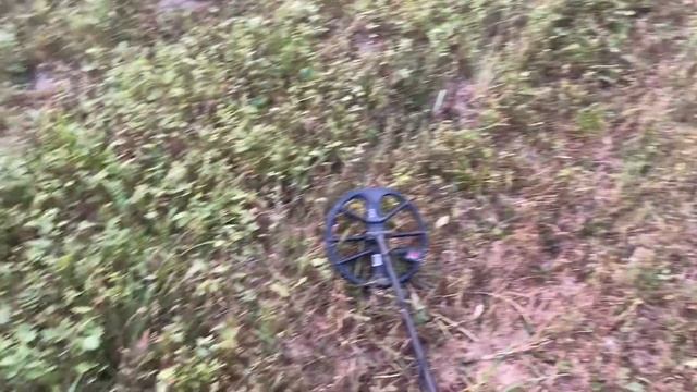 MINELAB EQUINOX 800. Тест профессионального металлоискателя. смотреть онлайн