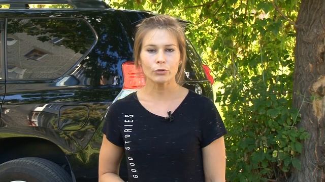 Ветер качает деревья смотреть онлайн