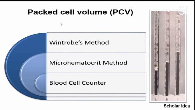 Complete blood count (RBCs) .. Lecture 2021 смотреть онлайн