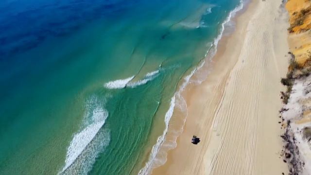 Positive music.Palm trees,sea,beach!Relax music. смотреть онлайн