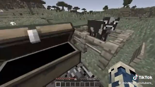 Мудрость и эзотерика