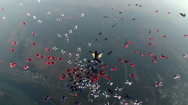 FAI European Record - Largest freefall formation - 201 Parachutists смотреть онлайн