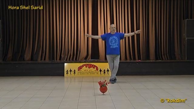 Hora Shel Sarid - Dance | הורה של שריד - ריקוד смотреть онлайн
