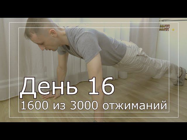 День 16. 3000 отжиманий за 30 дней смотреть онлайн